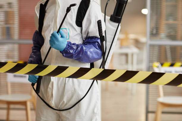 Professional Hoarding Cleanup technician working in Crosby, TX